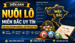 Diễn đàn nuôi lô miền bắc uy tín