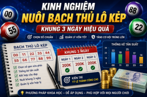Kinh nghiệm nuôi bạch thủ lô kép khung 3 ngày