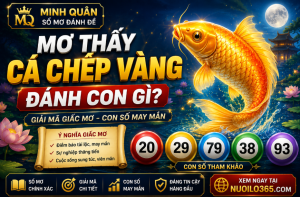 Mơ thấy cá chép vàng đánh con gì