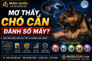 Mơ thấy chó cắn đánh số mấy là chuẩn