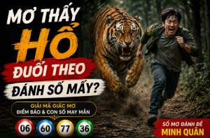 mơ thấy hổ đuổi theo đánh số mấy