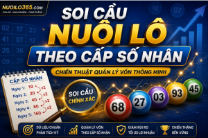Soi cầu nuôi lô theo cấp số nhân tại nuôi lô 365