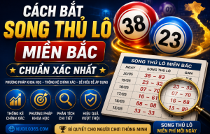 Cách bắt song thủ lô miền bắc chuẩn xác nhất hôm nay
