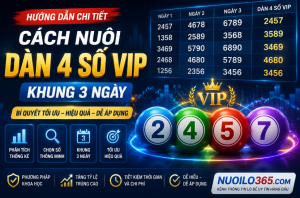 Cách nuôi dàn 4 số vip khung 3 ngày