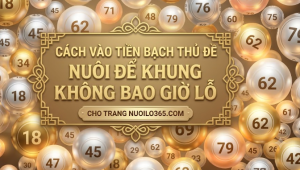 Cách vào tiền bạch thủ đề tại nuôi lô 365