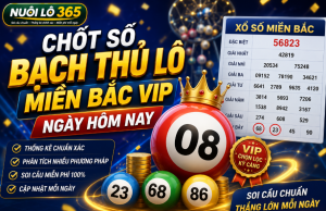 Chốt số bạch thủ lô miền bắc vip ngày hôm nay