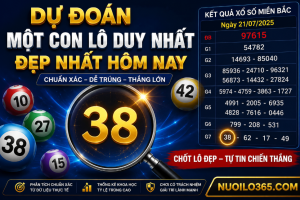 Dự đoán con lô duy nhất đẹp nhất hôm nay miễn phí