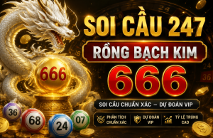 soi cầu 247 rồng bạch kim 666